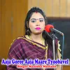 About Aaja Goree Aaja Maare Tyoobavel Song